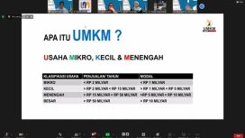 Webinar Prodi Bisnis Digital