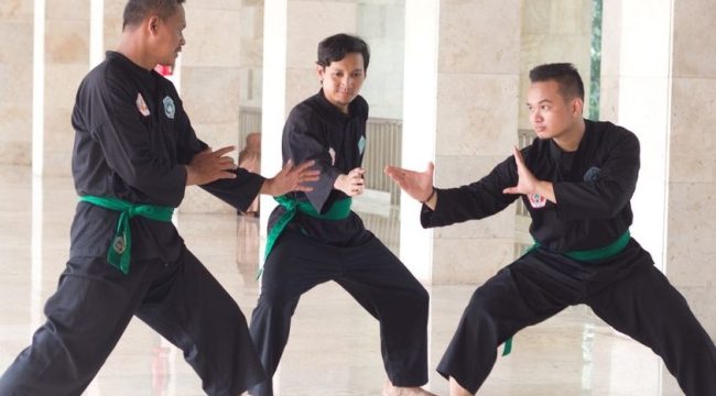Mahasiswa Magister Ilmu Komputer Universitas Nusa Mandiri Ajak Pemuda Indonesia Lestarikan Seni Bela Diri Pencak Silat