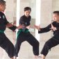 Mahasiswa Magister Ilmu Komputer Universitas Nusa Mandiri Ajak Pemuda Indonesia Lestarikan Seni Bela Diri Pencak Silat