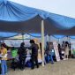 Job and Internship Festival 2024