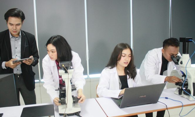 
					Prodi Sains Data Universitas Nusa Mandiri