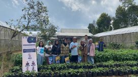 MaTangDetect: Sistem AI untuk Deteksi Dini Hama Kentang