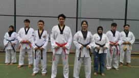Kolaborasi Gokil UNM & Klub Taekwondo Bikin Heboh Dunia Sport
