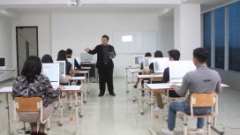 Program IEP 3+1