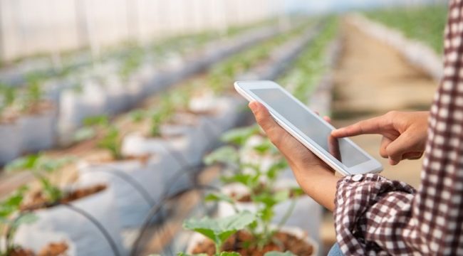 Mahasiswi S3 UNM Sabet Medali di Kompetisi Global