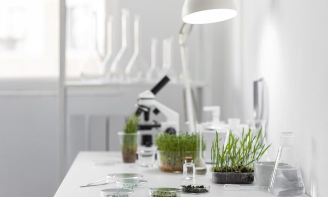 
Dosen UNM Turun ke Masyarakat! Inovasi BESTARI Saintek 2026 Siap Berdampak Nyata