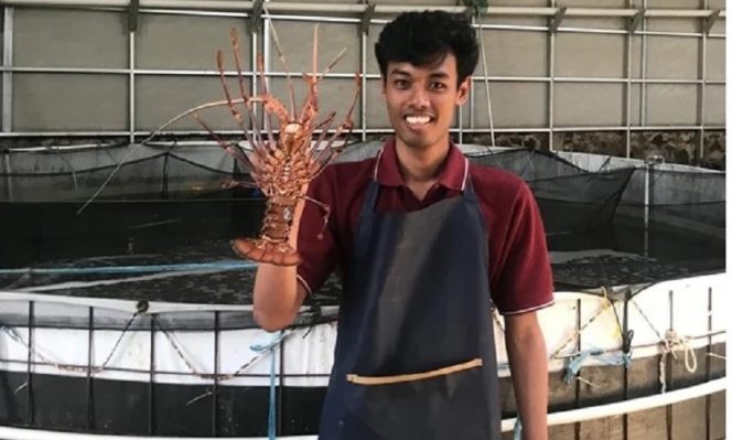 
					Magang di Industri Marikultur, Mahasiswa UNM Buktikan Skill Manajemen Bisa Dipakai di Dunia Nyata!