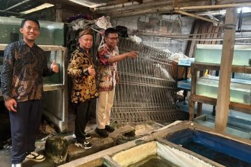 Budidaya Ikan Masih Manual UNM Siapkan AI