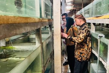 UNM Bawa AI dan IoT ke Tambak Akuakultur