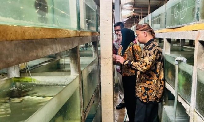 
					Budidaya Ikan Masih Manual Begini Cara UNM Bawa AI dan IoT ke Tambak Akuakultur