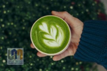 Matcha Terbuat dari Apa? Ternyata Kandungannya Bisa Memicu Gelombang Otak Alfa, Cocok Buat yang Sering Analisis Data Berjam-jam