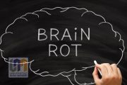Brain Rot Bukan Cuma Salahmu, Ini Cara Algoritma Media Sosial Dirancang Bikin User Ketagihan Scroll