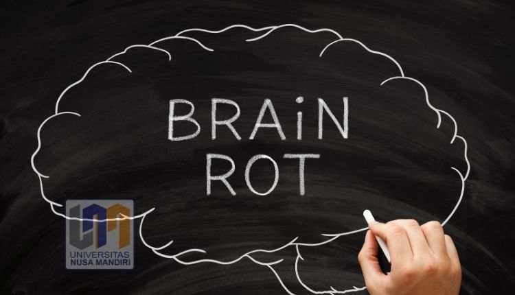 Brain Rot Bukan Cuma Salahmu, Ini Cara Algoritma Media Sosial Dirancang Bikin User Ketagihan Scroll Brain Rot Bukan Cuma Salahmu, Ini Cara Algoritma Media Sosial Dirancang Bikin User Ketagihan Scroll