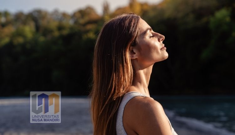 Healing Artinya Memulihkan Diri, Ini Cara Aplikasi Kesehatan Mental Memanfaatkan Data Penggunanya Healing Artinya Memulihkan Diri, Ini Cara Aplikasi Kesehatan Mental Memanfaatkan Data Penggunanya